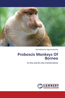 Proboscis Monkeys of Borneo 
