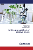 In Vitro Propagation of Cassava Plants 