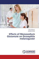 Effects of Monosodium Glutamate on Drosophila Melanogaster 