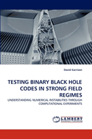 Testing Binary Black Hole Codes in Strong Field Regimes 