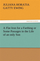 Flat Iron for a Farthing or Some Passages in the Life of an Only Son 