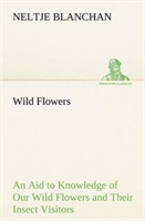 Wild Flowers an Aid to Knowledge of Our Wild Flowers and Their Insect Visitors 