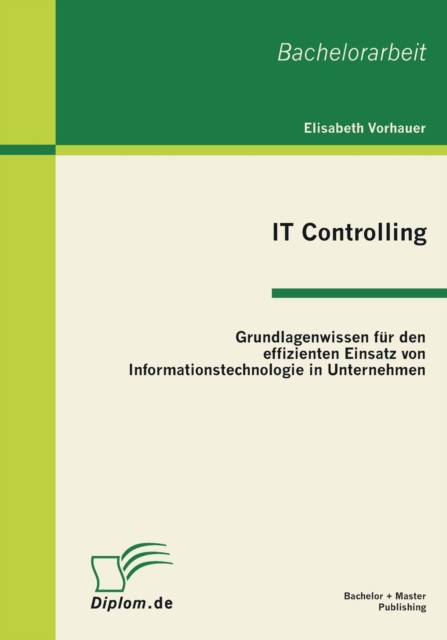 It Controlling Grundlagenwissen Fur Den Effiz