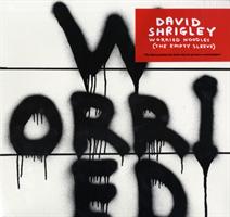 David Shrigley Worried Noodles