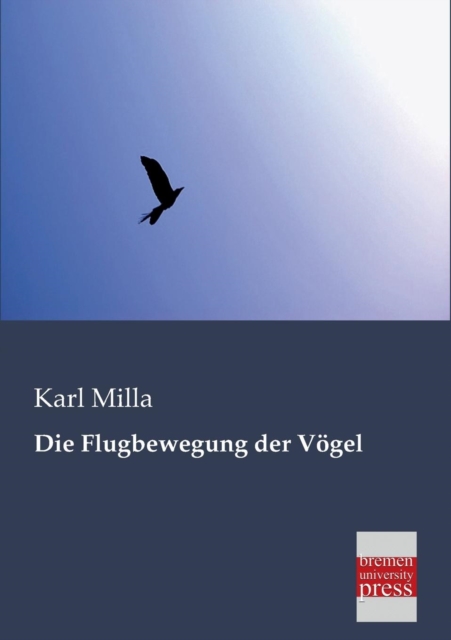 Flugbewegung Der Vogel 