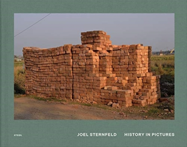 Joel Sternfeld: History in Pictures 