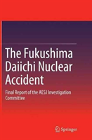 Fukushima Daiichi Nuclear Accident Final Report of the AESJ Inves