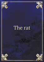 Rat 