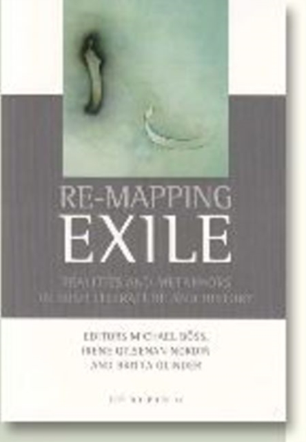 Re-Mapping Exile Realities and Metaphors in Irish Literature and History