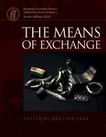 Means of Exchange Dealing with Silver in the Viking Age