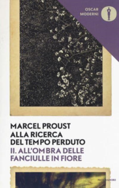 All'ombra delle fanciulle in fiore VOl II-Alla ricerca del tempo perduto 