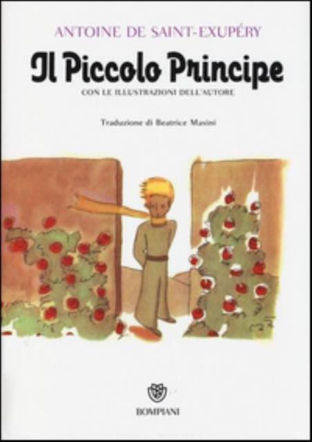 Il Piccolo Principe 