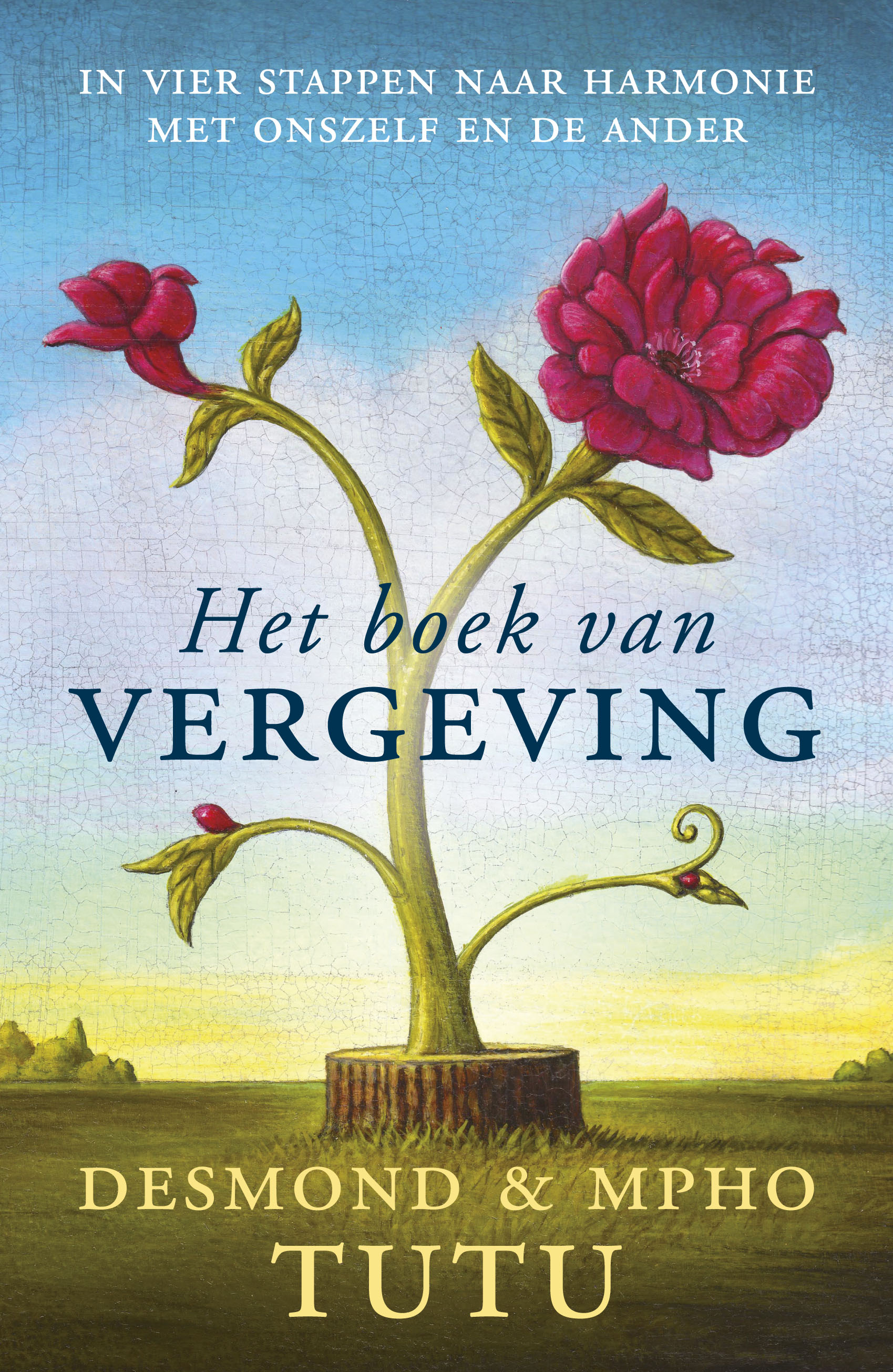 Het boek van vergeving het viervoudig pad naar heling van onszelf en onze