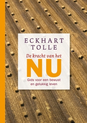 De kracht van het nu gids voor een bewust en gelukkig leven