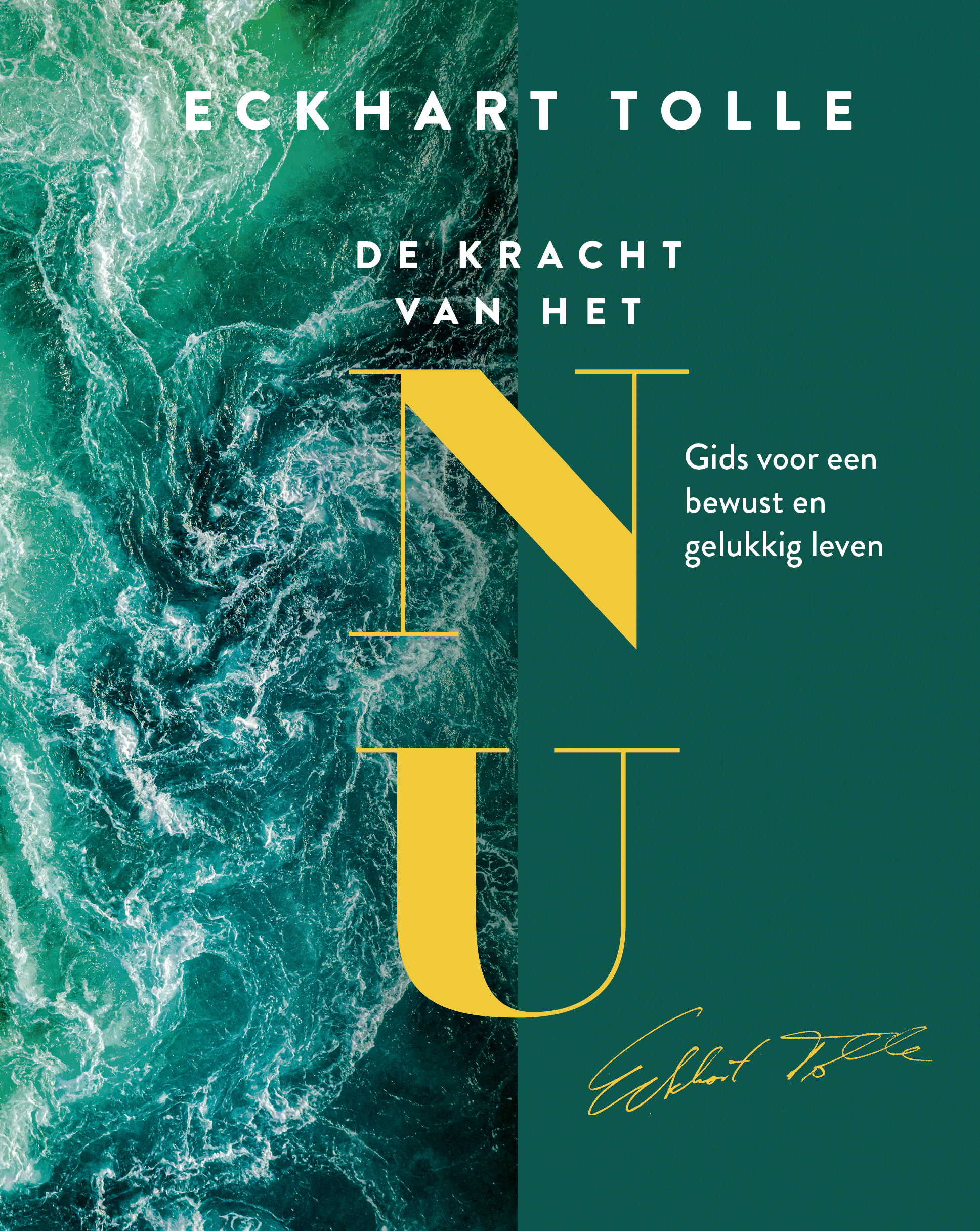 De kracht van het NU Gids voor een bewust en gelukkig leven