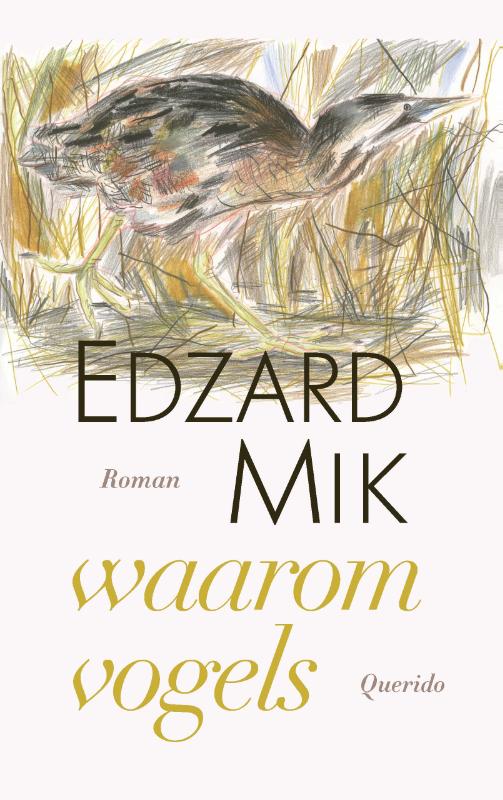 Waarom vogels 