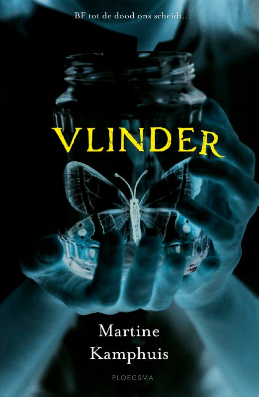 Vlinder 