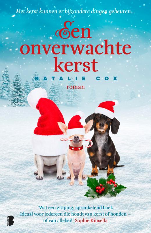 Een onverwachte kerst Met kerst kunnen er bijzondere dingen gebeuren...