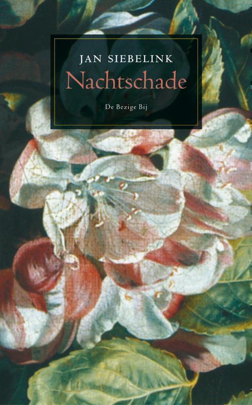 Nachtschade 