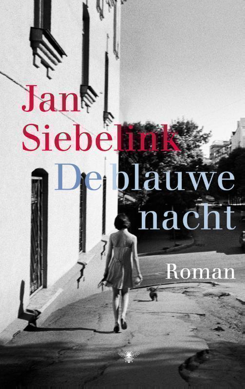 De blauwe nacht roman