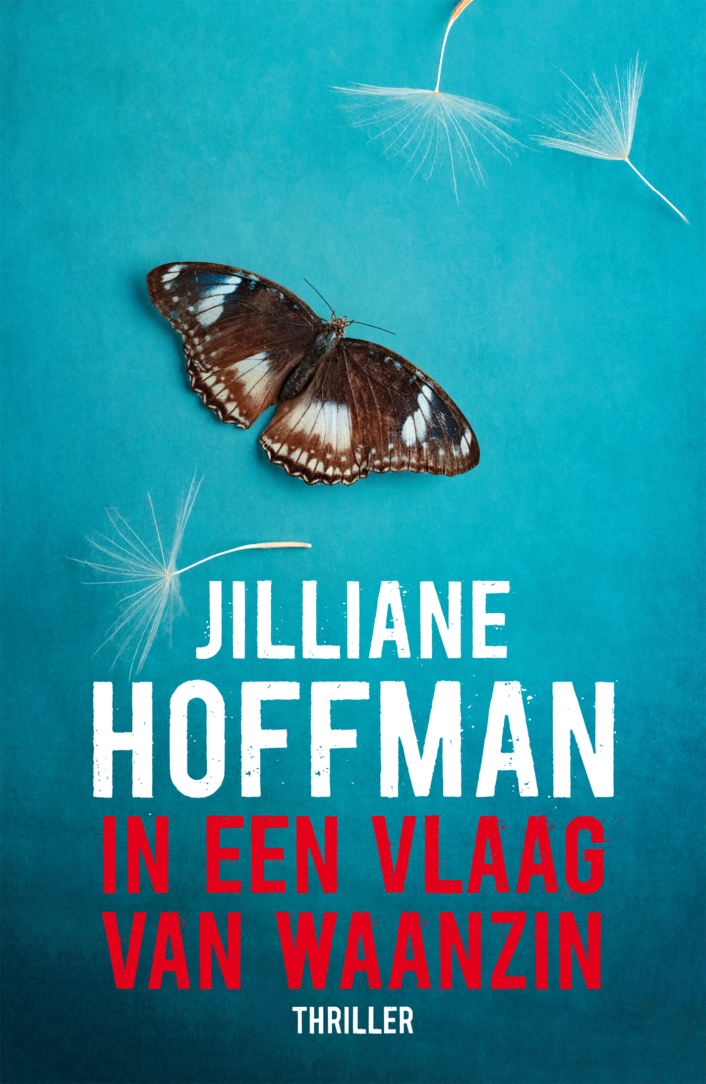 In een vlaag van waanzin 