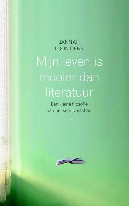 Mijn leven is mooier dan literatuur en kleine filosofie van het schrijverschap