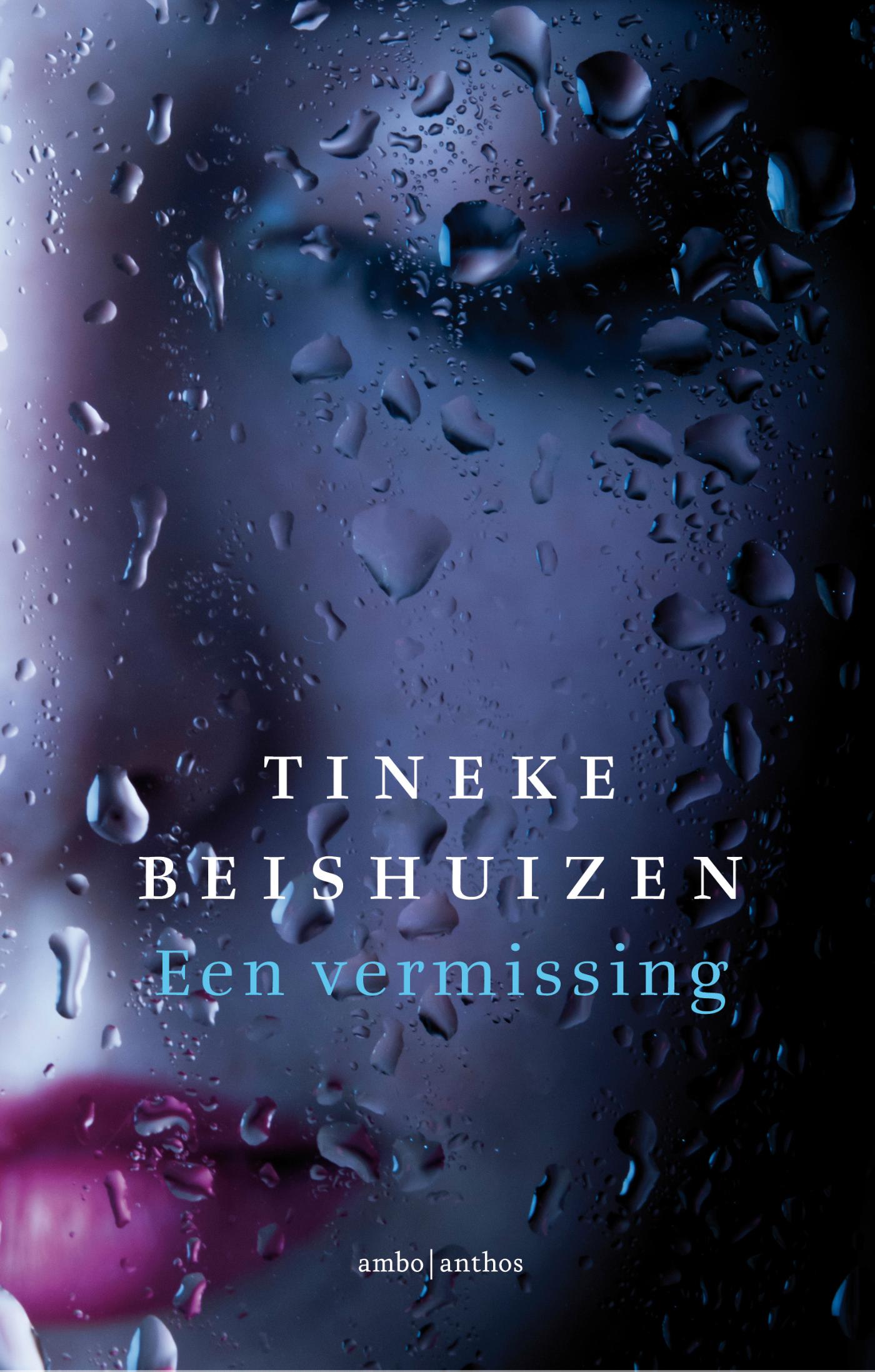 Een vermissing 
