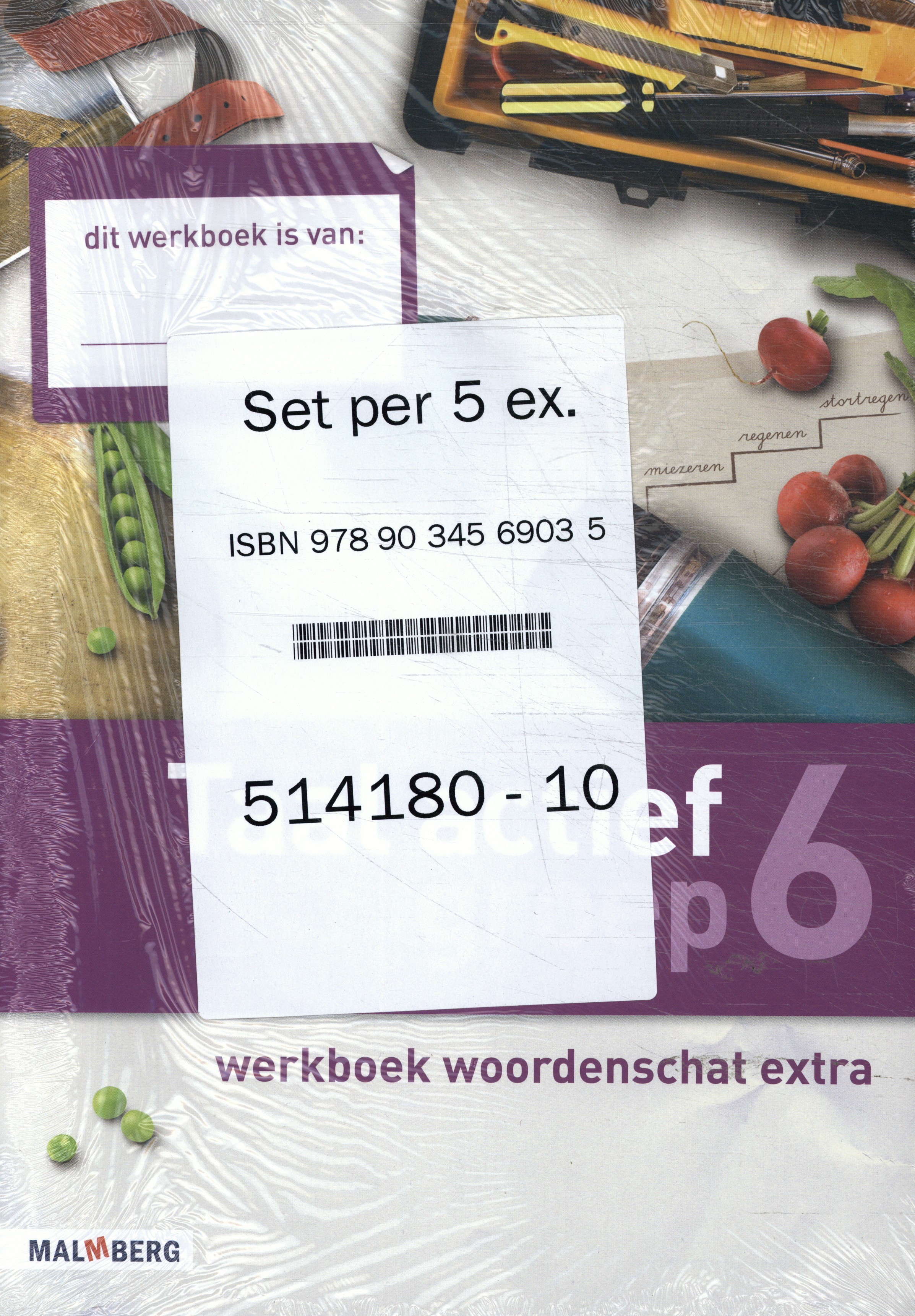 Taal Actief set 5 ex Groep 6 Woordenschat  Werkboek