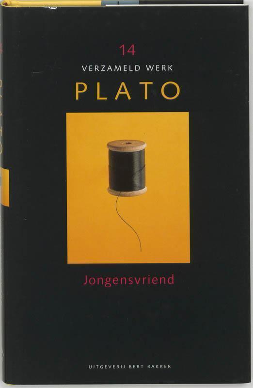 Verzameld werk / 14 Jongensvriend 