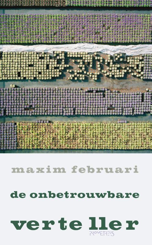 De onbetrouwbare verteller 
