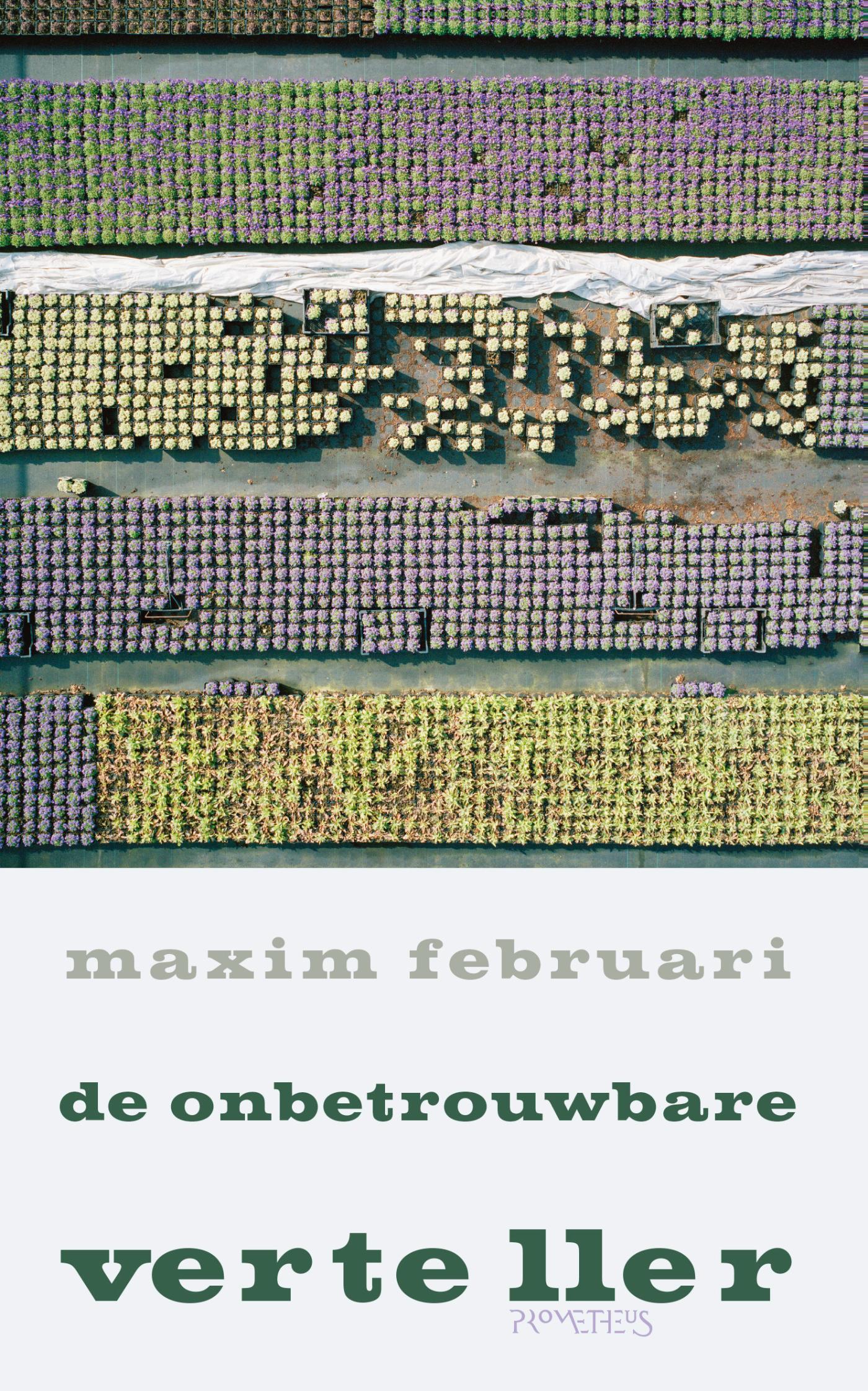 De onbetrouwbare verteller 