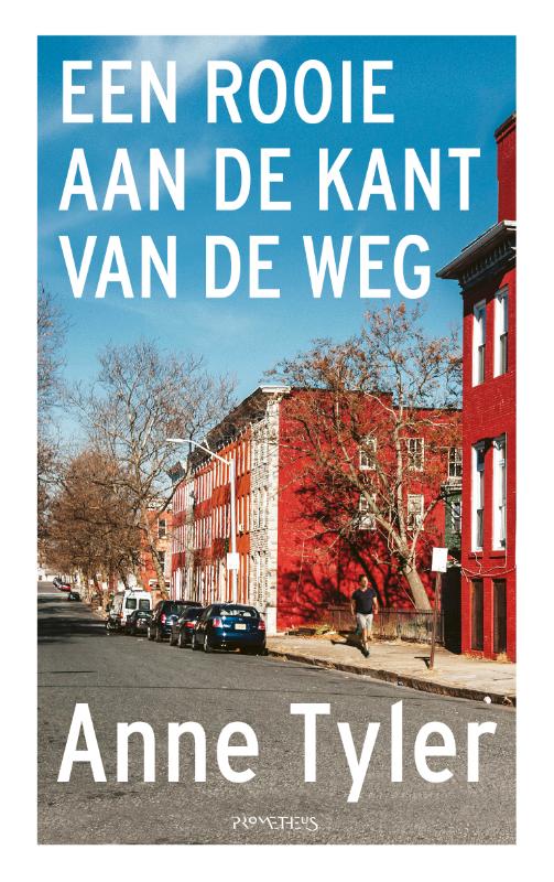 Een rooie aan de kant van de weg 