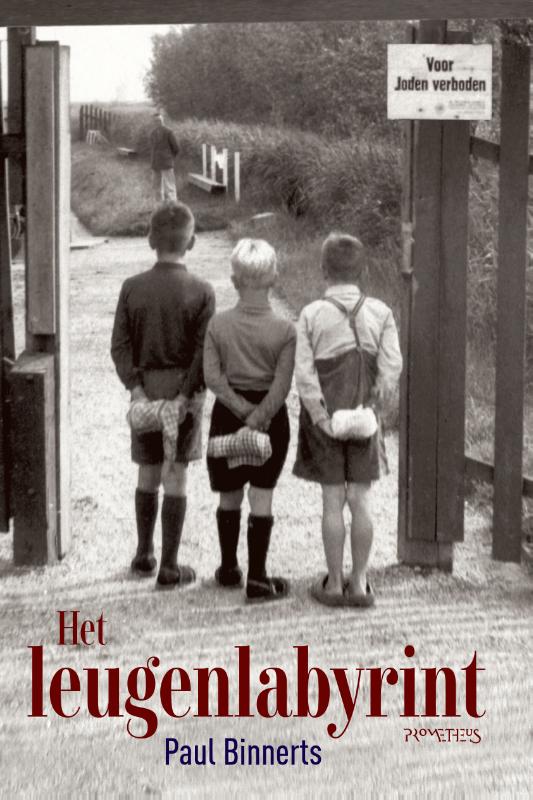 Het leugenlabyrint 
