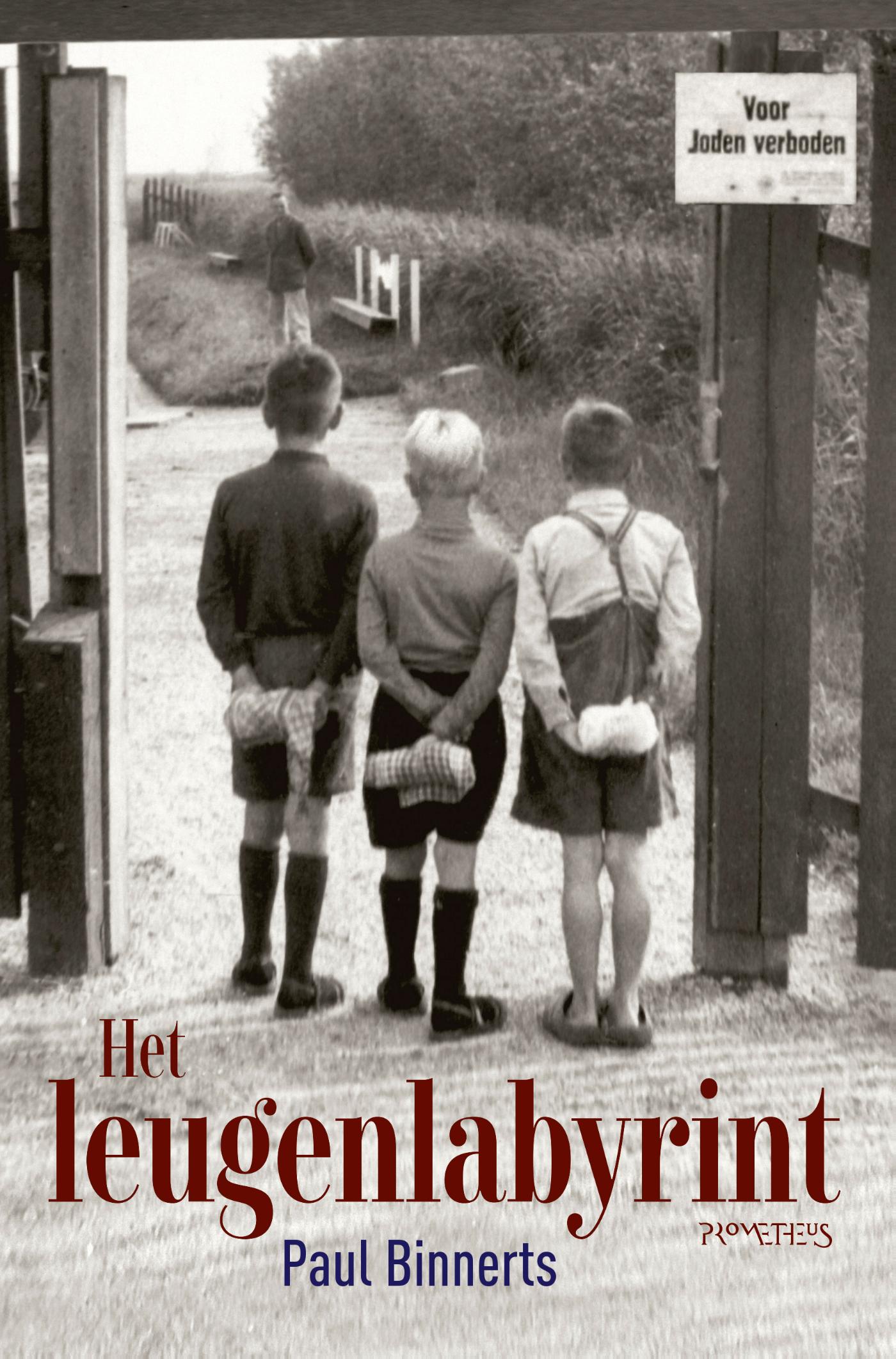 Het leugenlabyrint 
