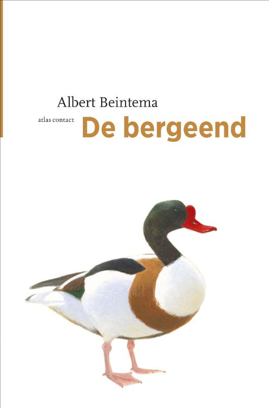 De bergeend 