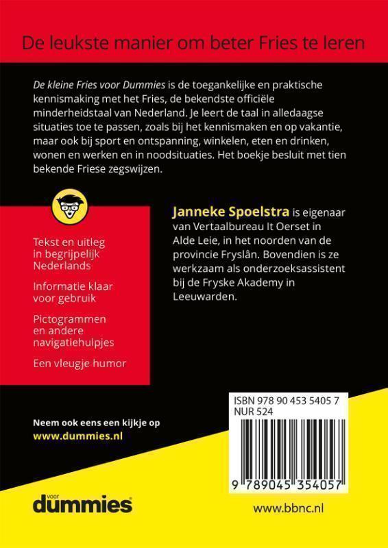 De kleine Fries voor dummies 