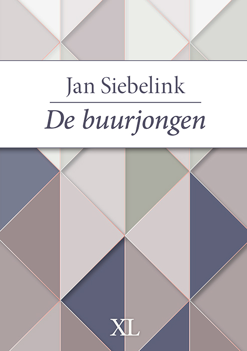 De buurjongen 