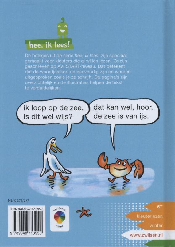 De zee is van ijs 