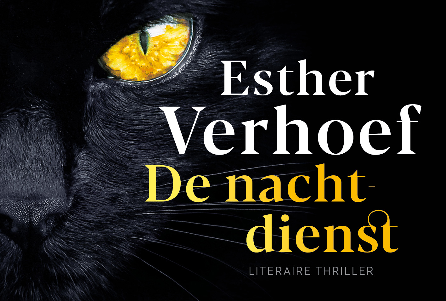 De nachtdienst 