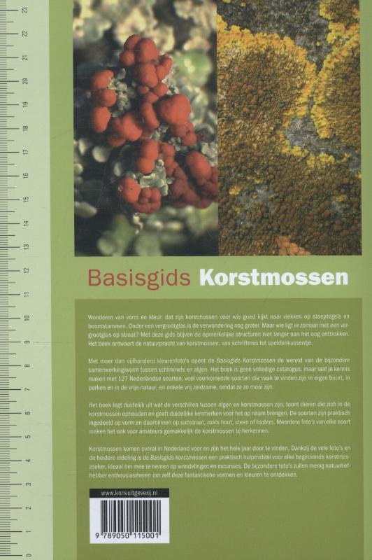 Basisgids korstmossen kennismaken met korstmossen