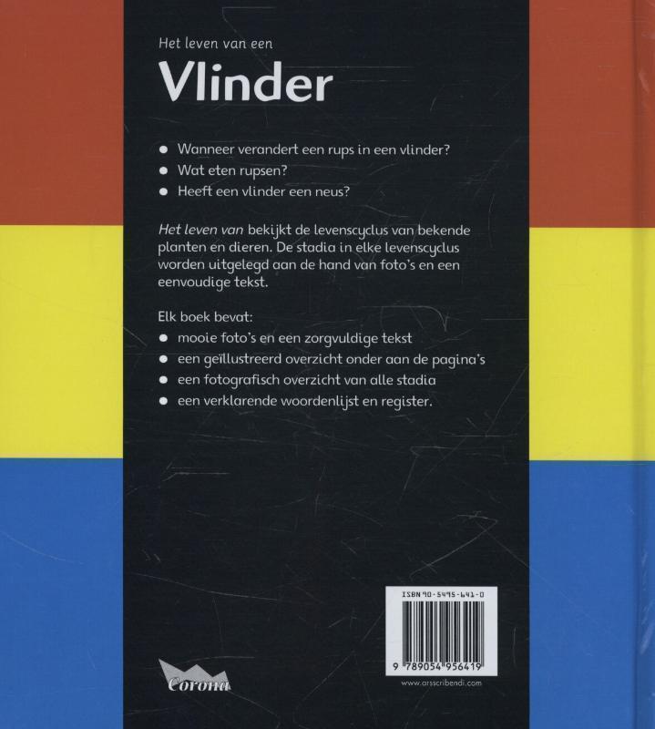 Vlinder 