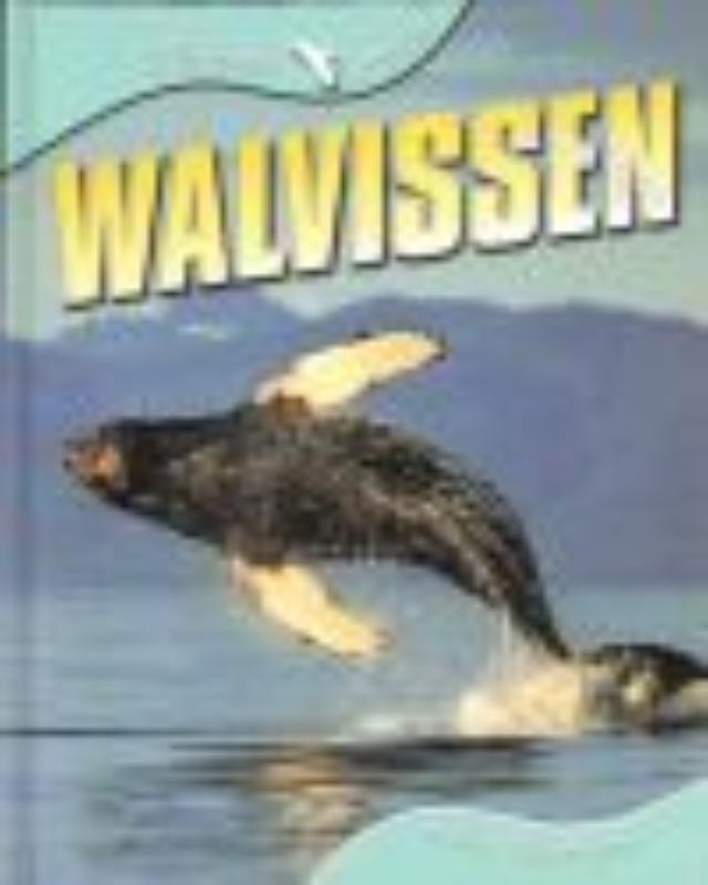 Walvissen 
