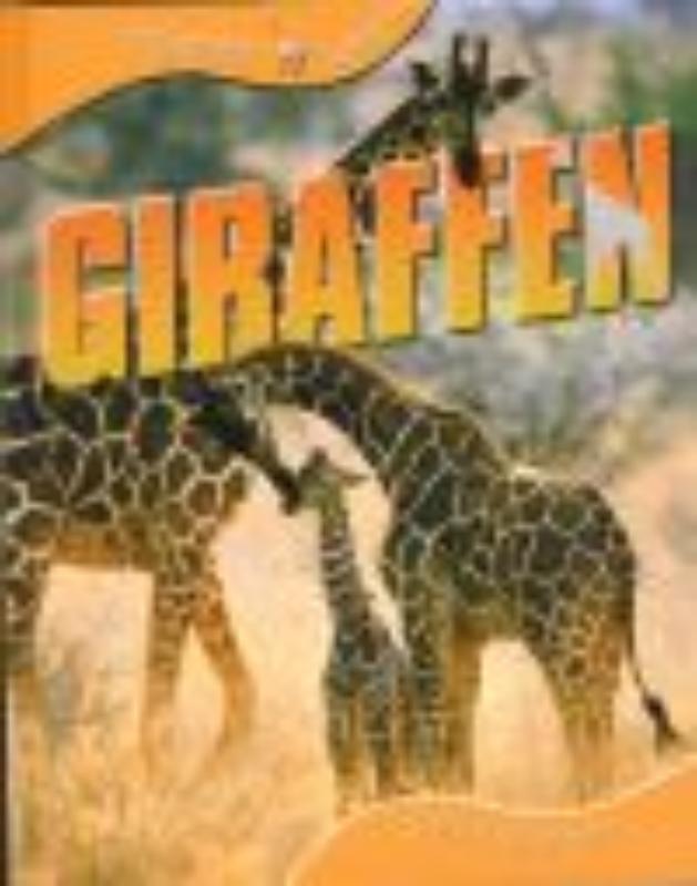 Giraffen 
