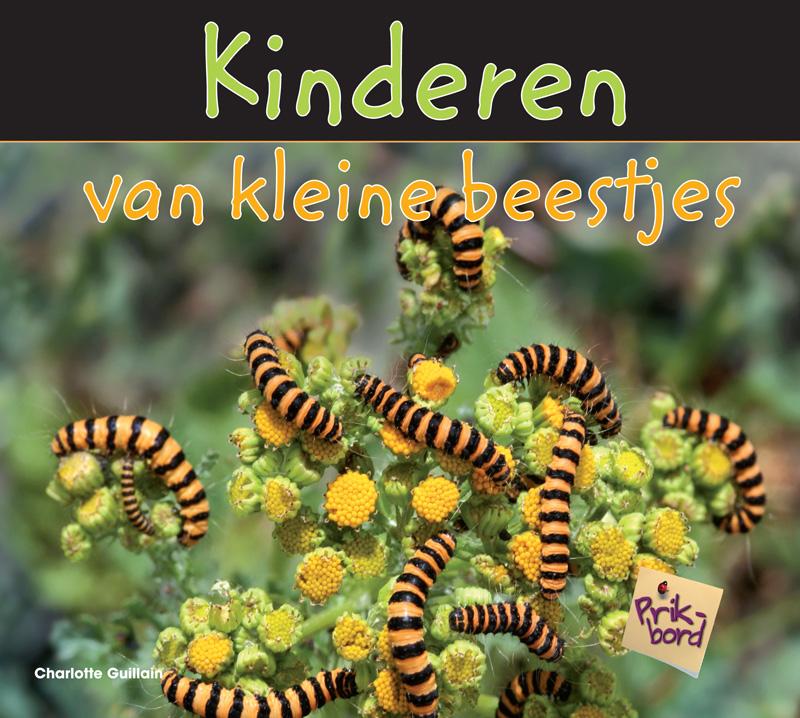 Kinderen van kleine beestjes 