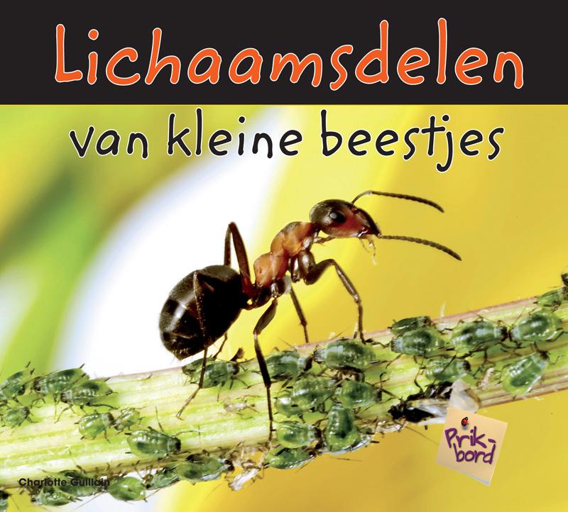 Lichaamsdelen van kleine beestjes 