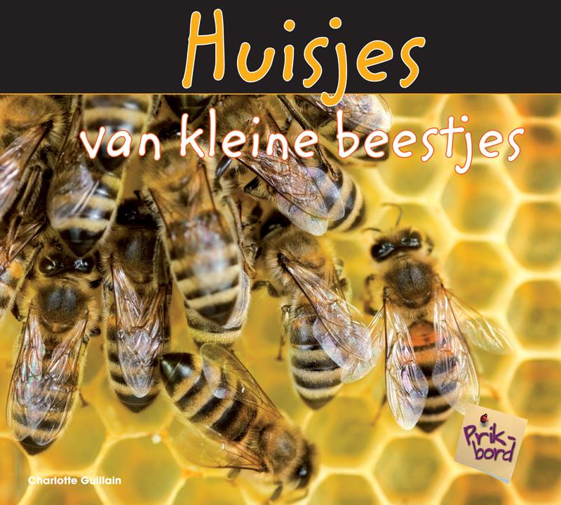 Huisjes van kleine beestjes 
