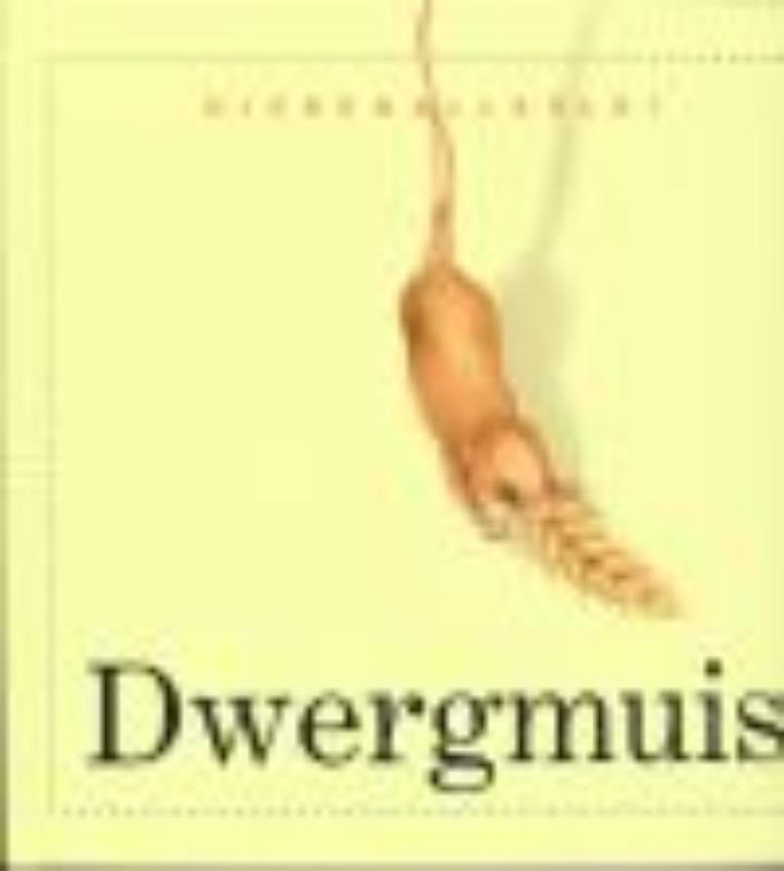 Dwergmuis 