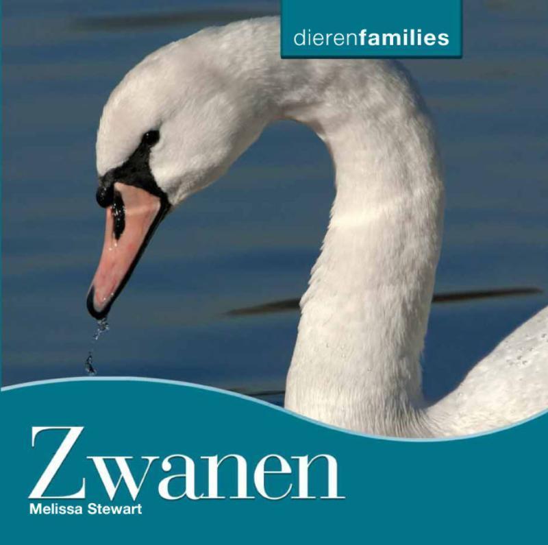 Zwanen 