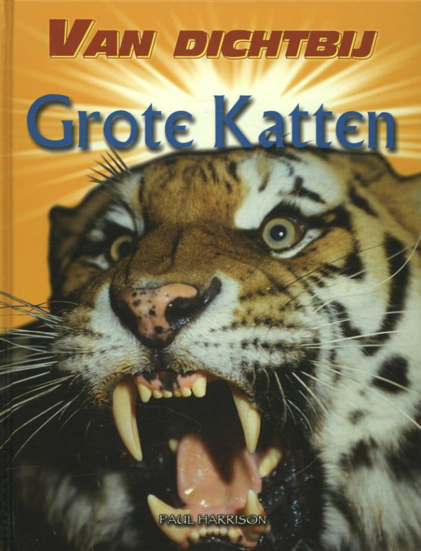 Grote katten 