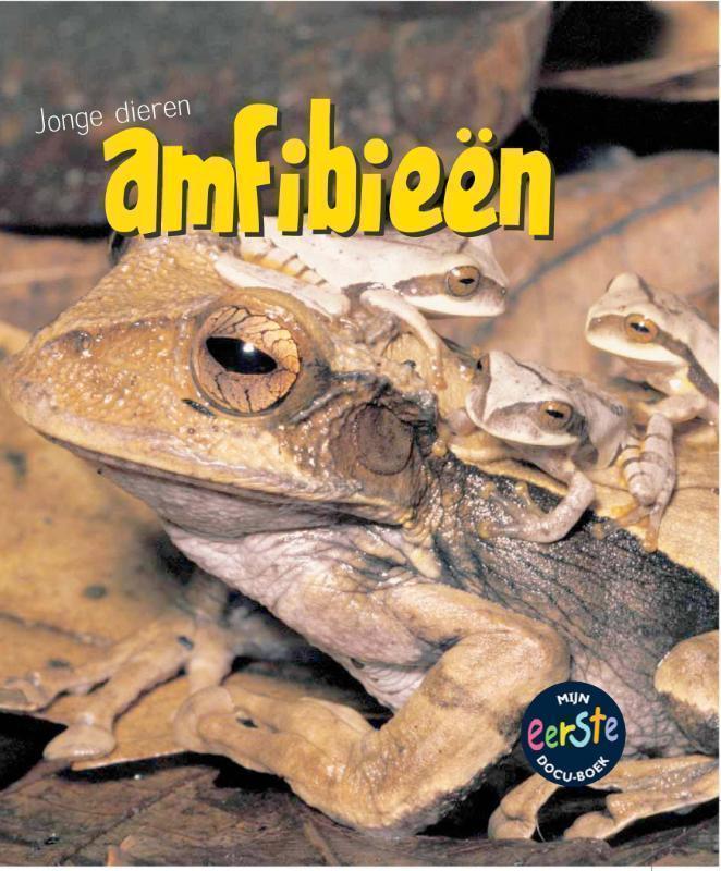 Amfibieen 